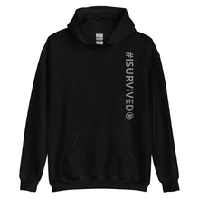 Load image into Gallery viewer, Plain Hoodie