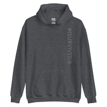 Load image into Gallery viewer, Plain Hoodie