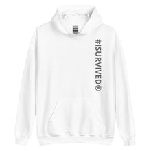 Load image into Gallery viewer, Plain Hoodie